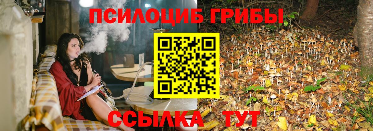купить наркотик  Галлюциногенные грибы MAGIC MUSHROOMS  Вход с VPN  Нефтекумск 